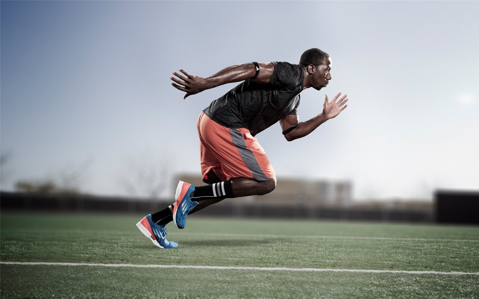 智能化运动评估系统在校园中的部署研究，运动智能概述